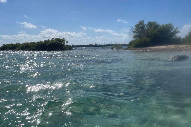 clear-kayak-mangrove-eco-tour-2