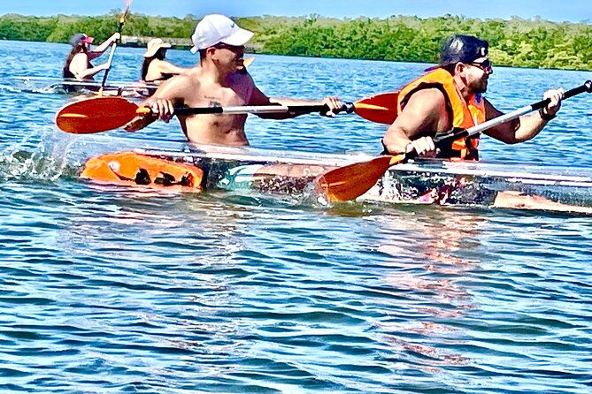 clear-kayak-private-guided-day-and-night-tours-in-florida
