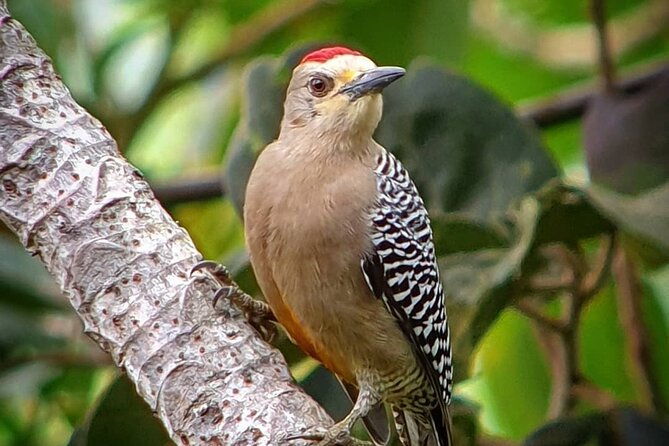 cloud-forest-small-group-tour