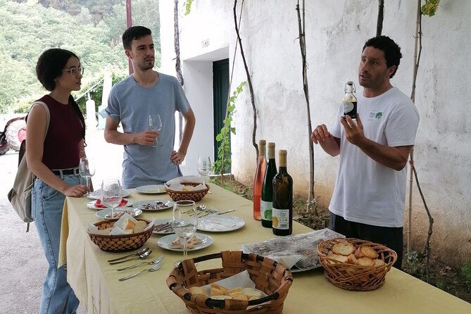 coastal-winery-camino-trail-walking-tour-from-san-sebastian