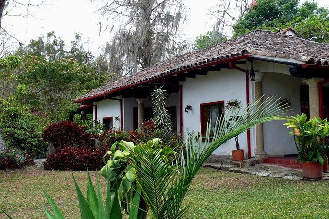 coffee-farm-experience-private-day-tour