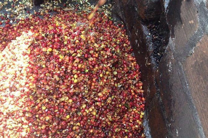 coffee-plantation-in-jardin-and-city-sightseeing-tour
