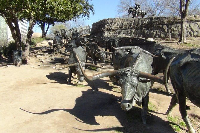 combination-southfork-ranch-and-dallas-jfk-highlights-tour