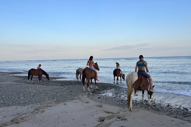 costa-rica-horseback-riding-experience