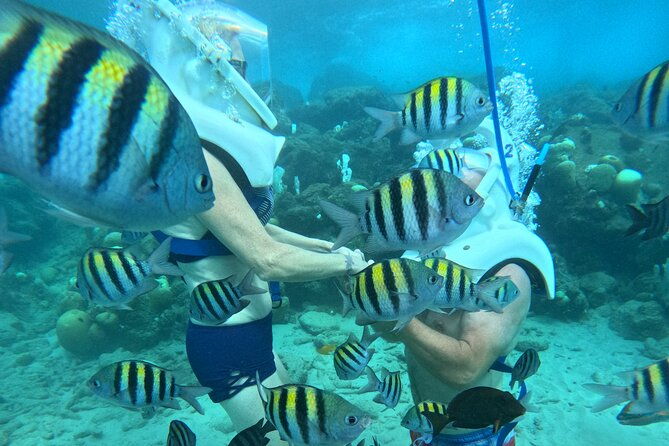 curacao-guided-underwater-walking-tour-no-swimming-skills-needed