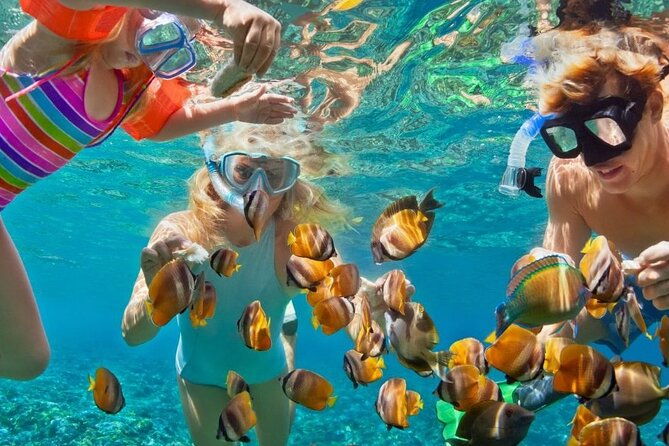 customized-snorkelingswimming-discover-coral-reefs-and-fishes