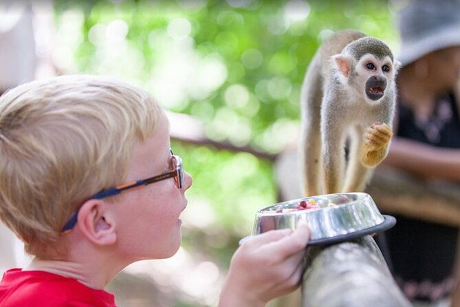 damajagua-waterfall-monkey-home-private-minivan-tour