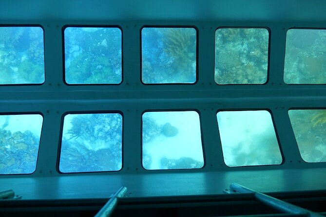 day-tour-glass-bottom-boat-in-islamorada