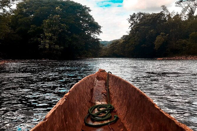day-tour-in-the-puyopungo-amazon-rainforest