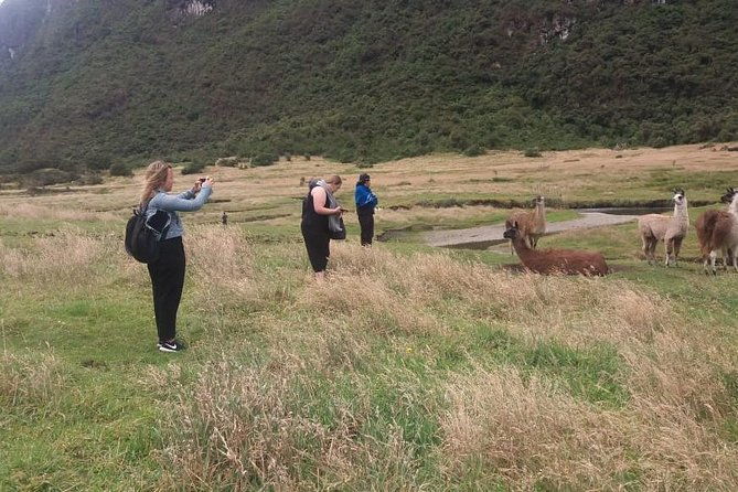 day-tour-to-the-cajas-national-park-hosteria-dos-chorreras