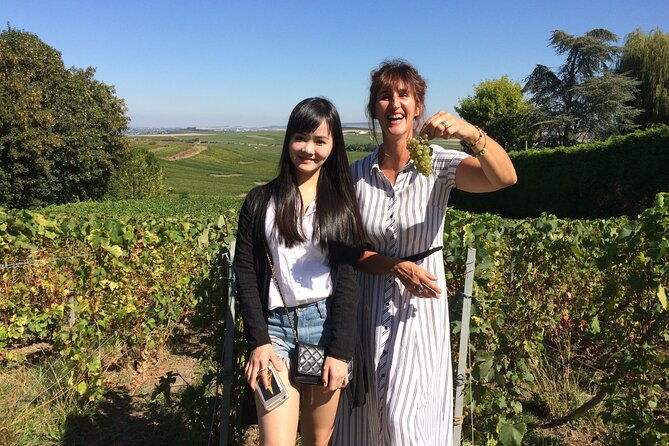 day-trip-by-van-in-champagne-small-group-of-8