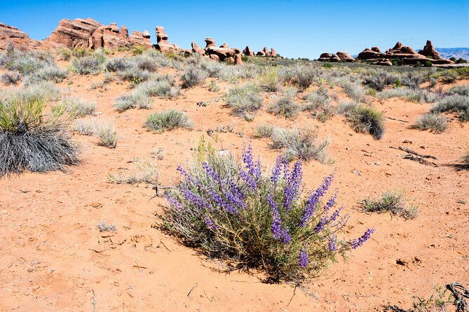 delicate-arch-trail-self-guided-audio-walking-tour