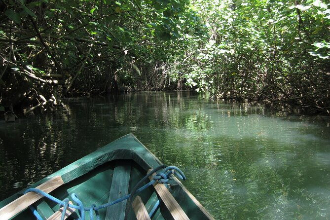 dg-tours-full-day-private-tour-experience