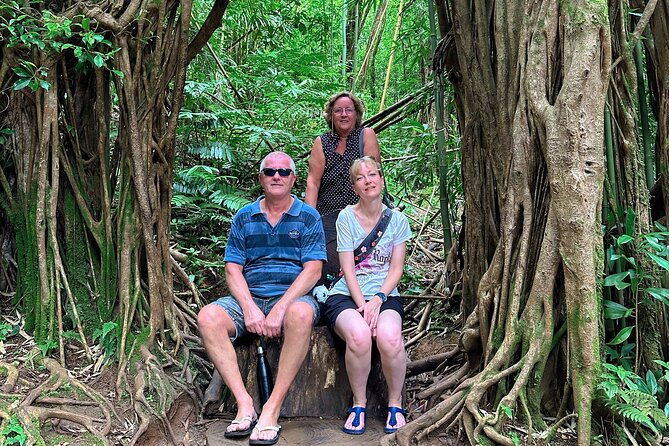 diamond-head-and-manoa-falls-hike-and-adventure-tour