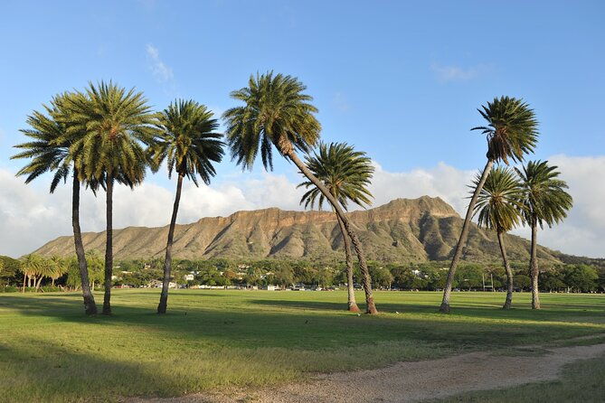 diamond-head-shuttle-with-malasada