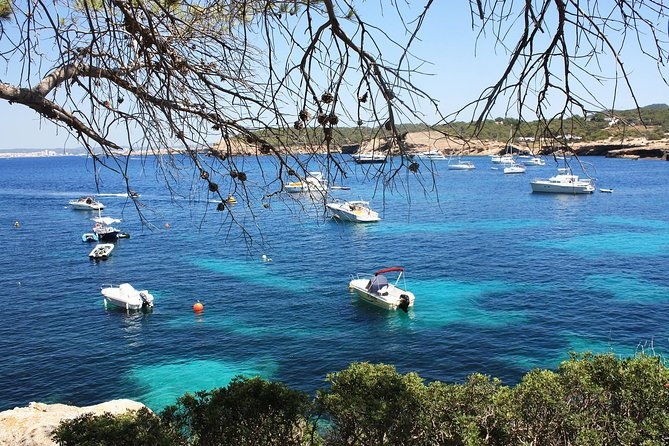 discover-cala-bassa-and-cala-comte-on-board-a-catamaran-2