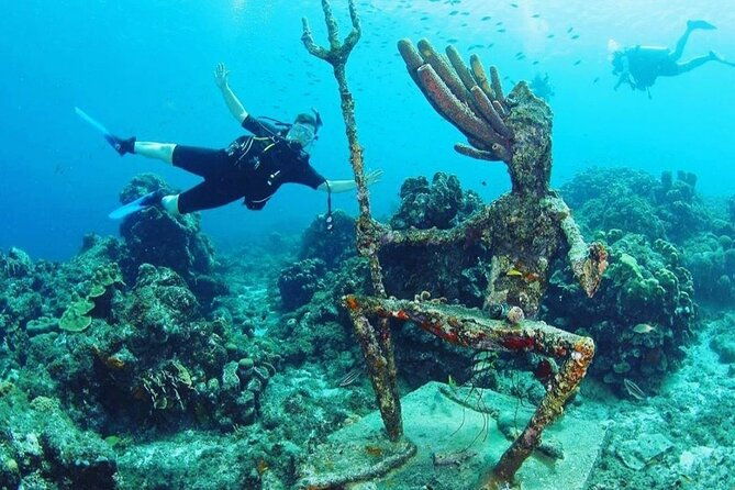 discover-diving-in-curacao-with-transportation-included