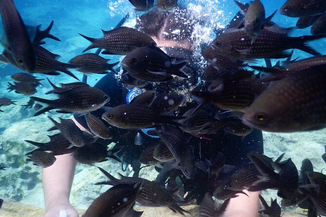 discover-scuba-diving-4