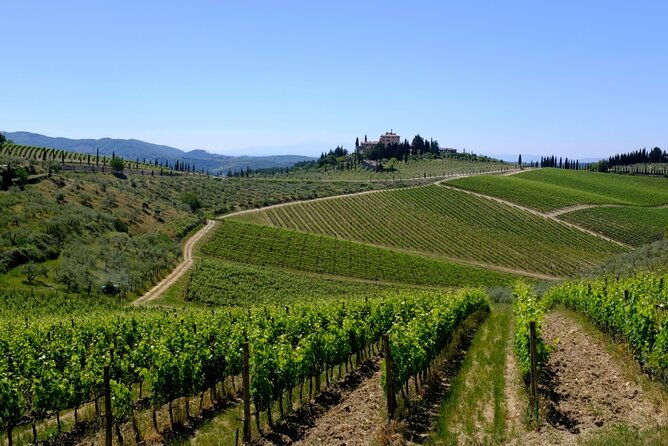 discovering-chianti-sunset-ebike-tour-and-dinner