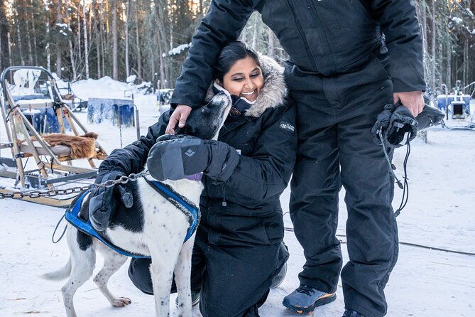 dogsled-and-reindeer-day-trip-to-borealis-basecamp