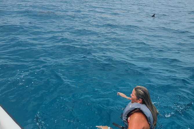 dolphin-museum-and-wild-dolphins-land-and-sea-adventure