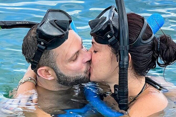 dolphin-snorkel-sandbar