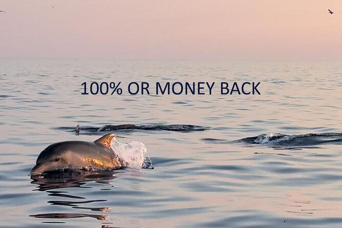 dolphin-sunrise-adventure-with-speedboat
