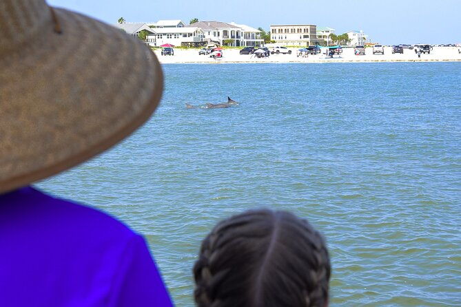 dolphin-watch-historical-harbor-tour-in-st-augustine