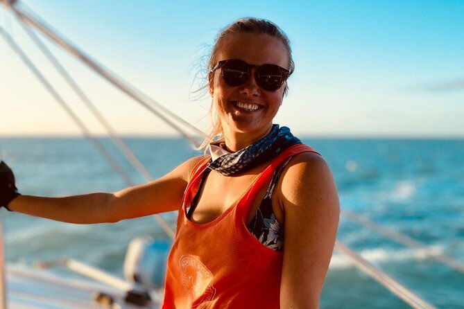 dolphin-watch-sunset-sail-with-honest-eco