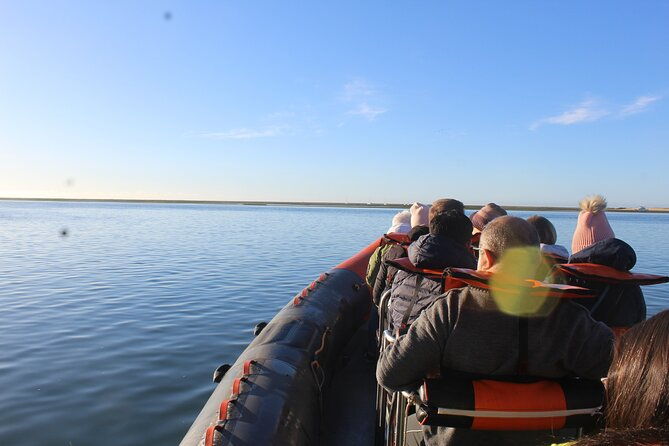 dolphin-watching-from-faro-2