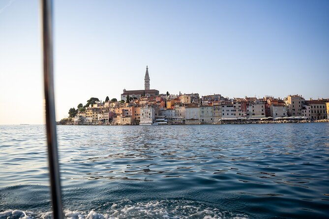 dolphin-watching-sunset-speedboat-tour-with-drinks-in-rovinj