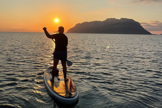 dolphin-watching-sup-tour-with-golfo-aranci-aperitif