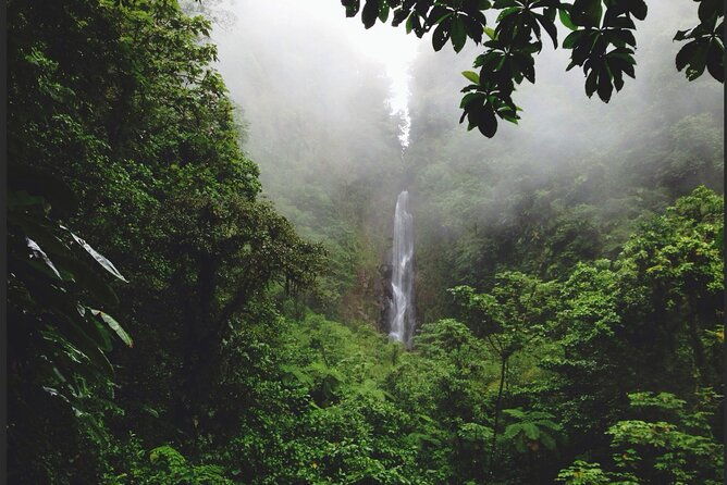 dominica-chasing-waterfalls-experience