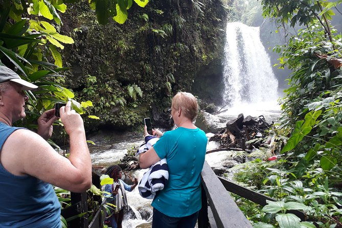 dominica-half-day-tour-mero-beach-waterfalls-mineral-bath-wotten-waven