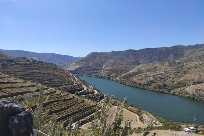 douro-valley-amazing-wine-tours