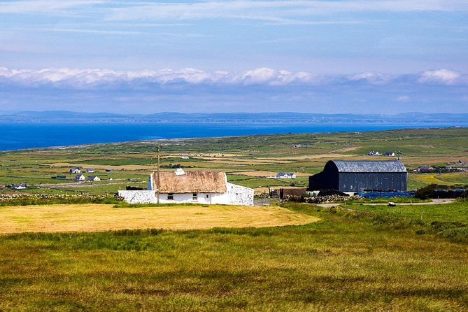 dublin-to-aillwee-cave-burren-wildlife-demo-and-cliffs-of-moher