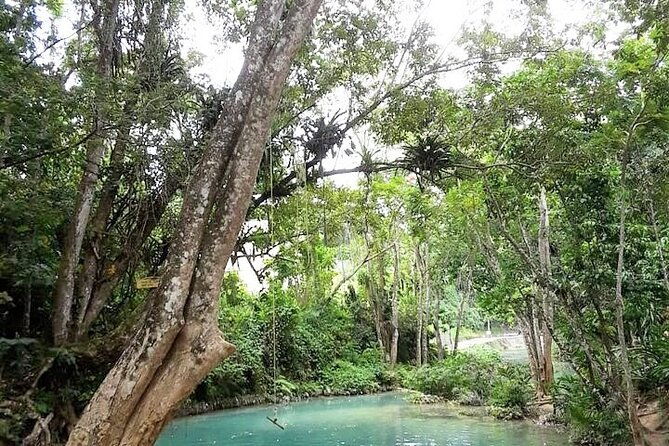 dunns-falls-half-day-tour-from-runaway-bay
