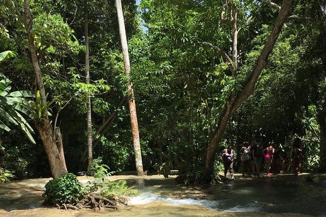 dunns-river-and-blue-hole-tour-from-ocho-rios