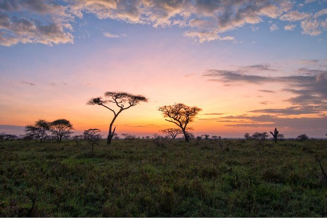 durban-big-5-luxury-safari-at-an-award-winning-game-reserve-zeiss-binoculars