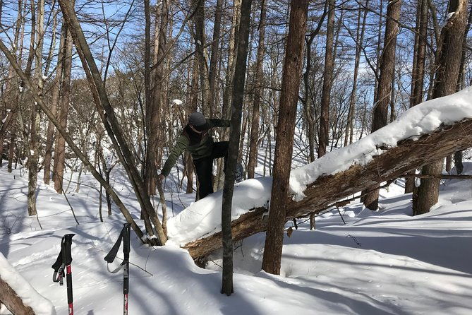 %e3%80%905-minutes-from-water-ic%e3%80%91-snow-trekking-half-day-tour-to-enjoy-japanese-snowscapes
