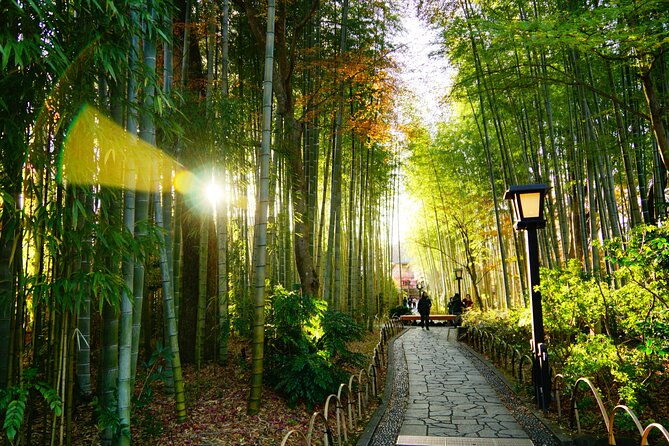 early-blooming-cherry-blossoms-fruit-picking-1day-tour