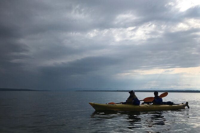 early-morning-guided-kayak-tour
