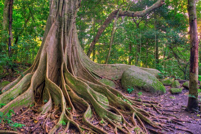 earth-wonders-from-guanacaste