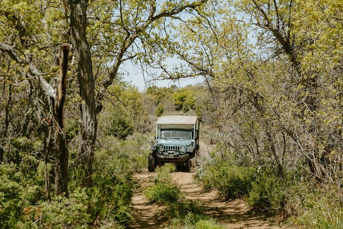 east-zion-brushy-cove-jeep-tour-2