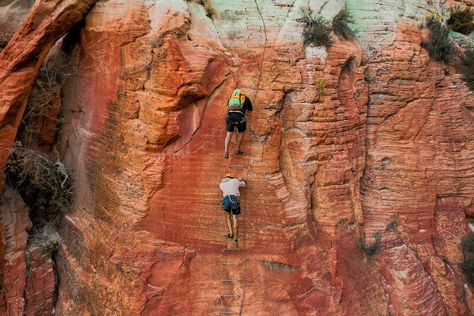east-zion-elk-heart-cliffs-via-ferrata-and-rappelling-3hr-2
