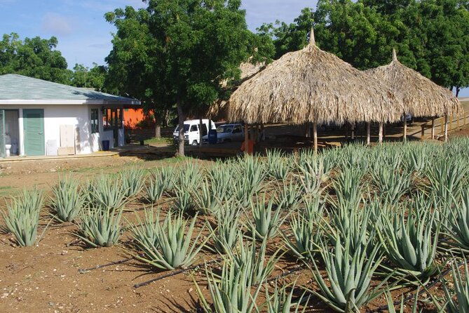 eastern-treasures-of-curacao-tour