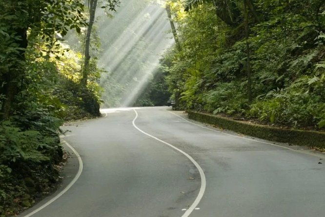 eco-tour-konoko-falls-fern-gully-from-ocho-rios