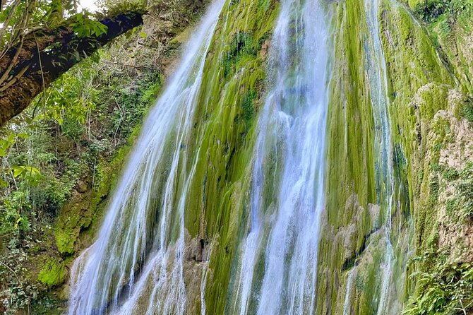 ecolodge-overnight-experience-el-limon-waterfalls-samana-dr