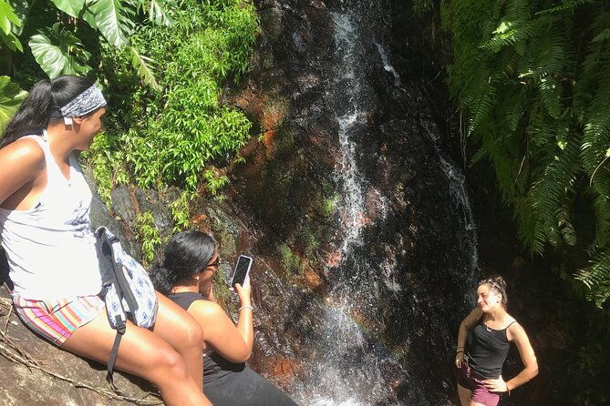 el-yunque-hike-adventure-to-las-tinajas-waterfall-from-fajardo