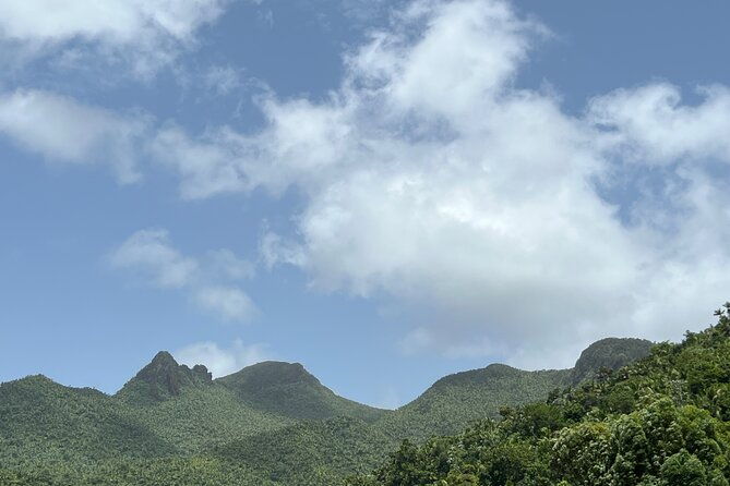el-yunque-national-forest-guided-tour-with-transport